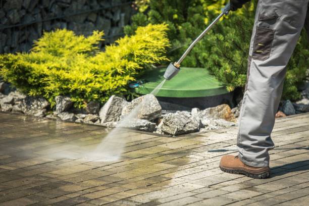 Best Pre-Holiday Cleaning  in Roswell, NM